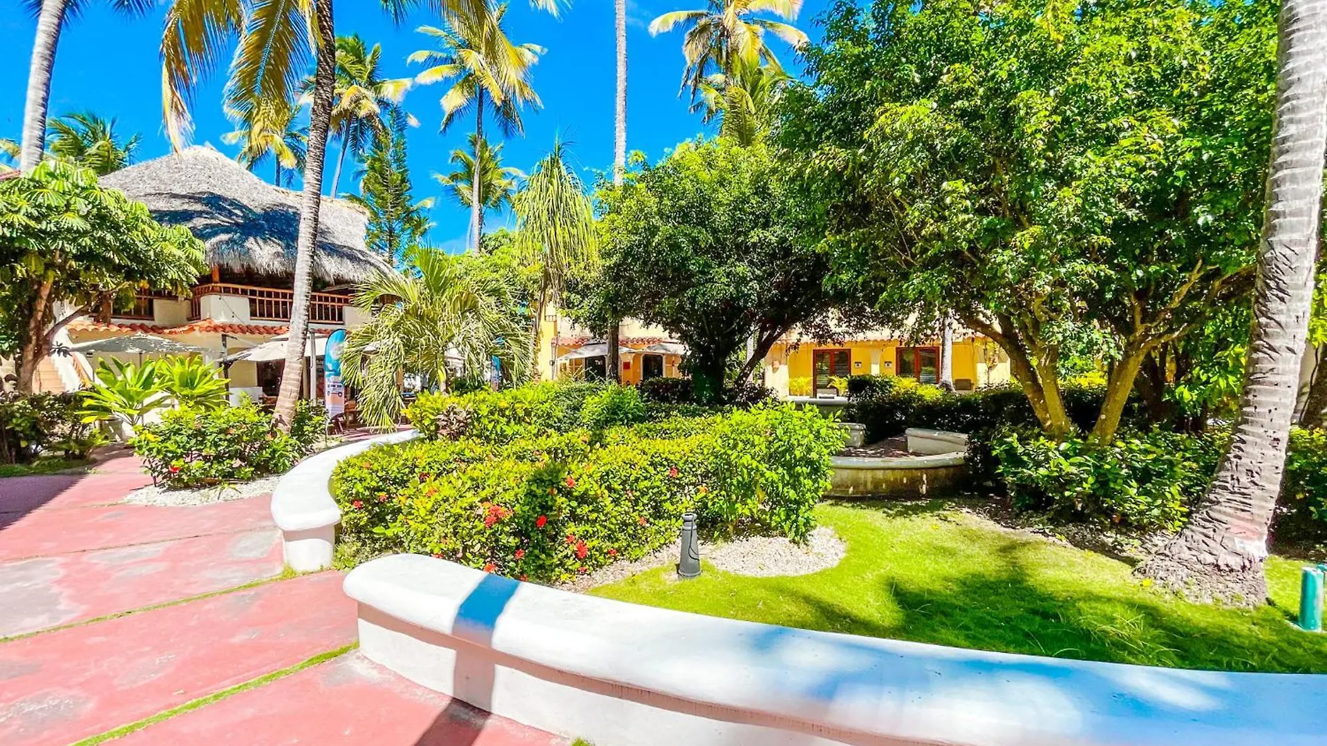 Caribbean Rooftop Pool Ducassi Hotel Beach Club & Spa Punta Cana Den Dominikanske Republik